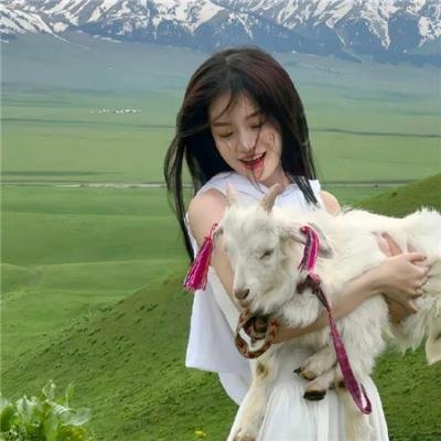 名侦探柯南.工藤新一的挑战书